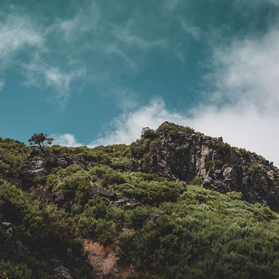montagna verde e marrone sotto il cielo blu durante il giorno puzzle online