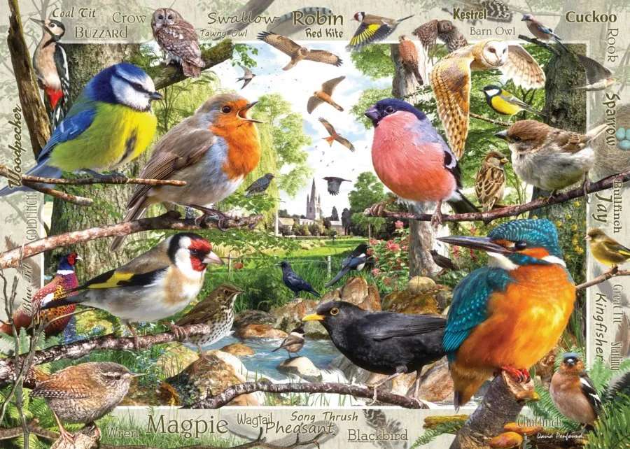 verschiedene kleine Vögel Puzzlespiel online