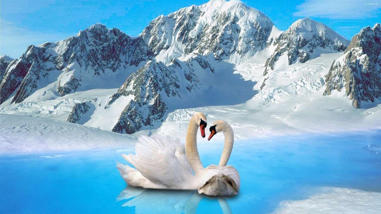 cisnes nas montanhas puzzle online