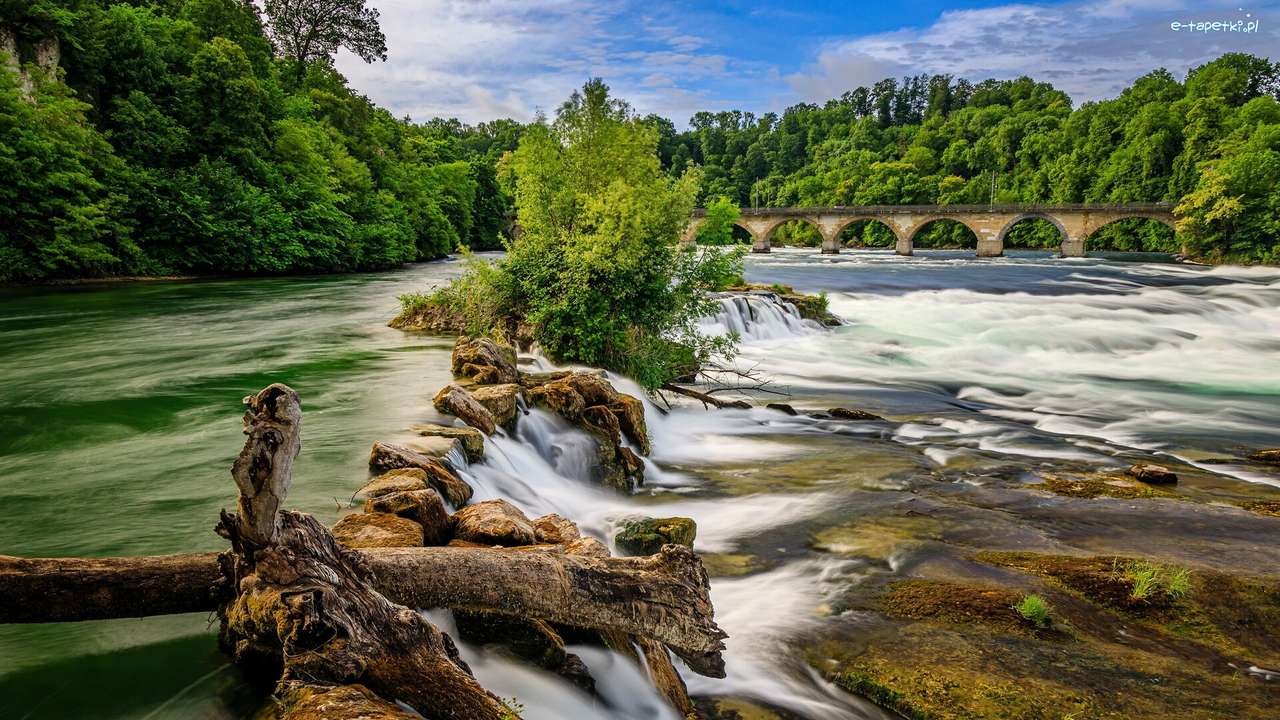Rheinfall waterval legpuzzel online
