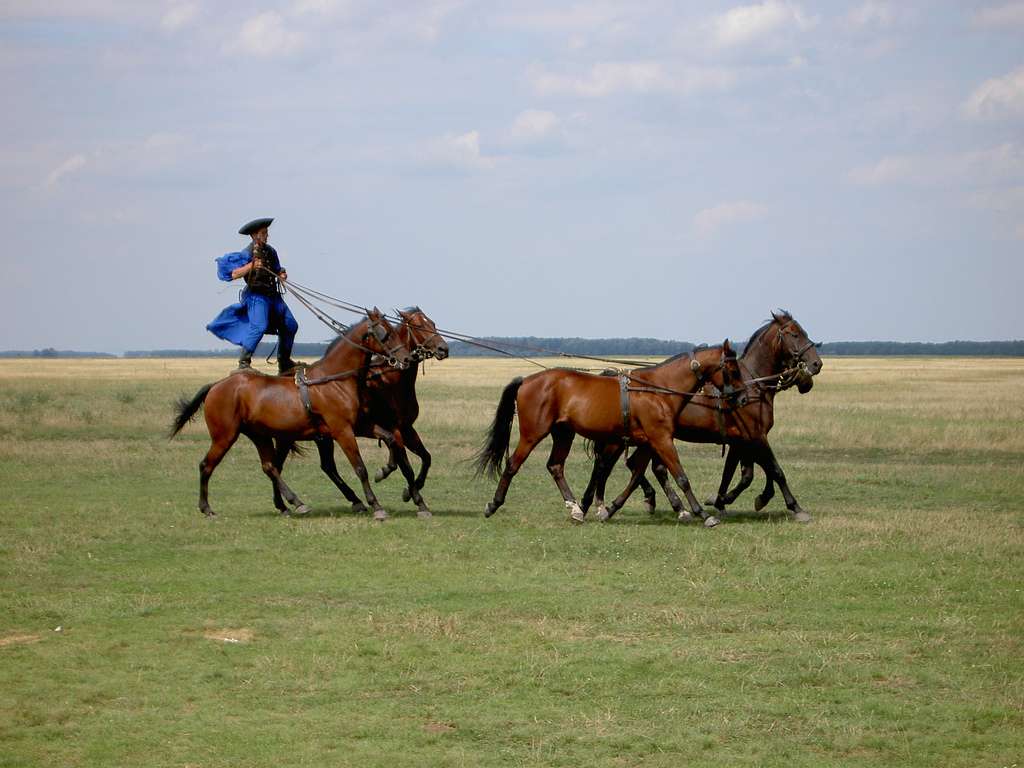 Ungarische Reiter in der Puszta Steppe Puzzlespiel online
