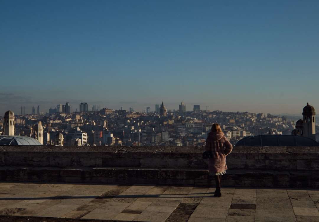 žena v hnědém kabátě, stojící na vrcholu budovy online puzzle