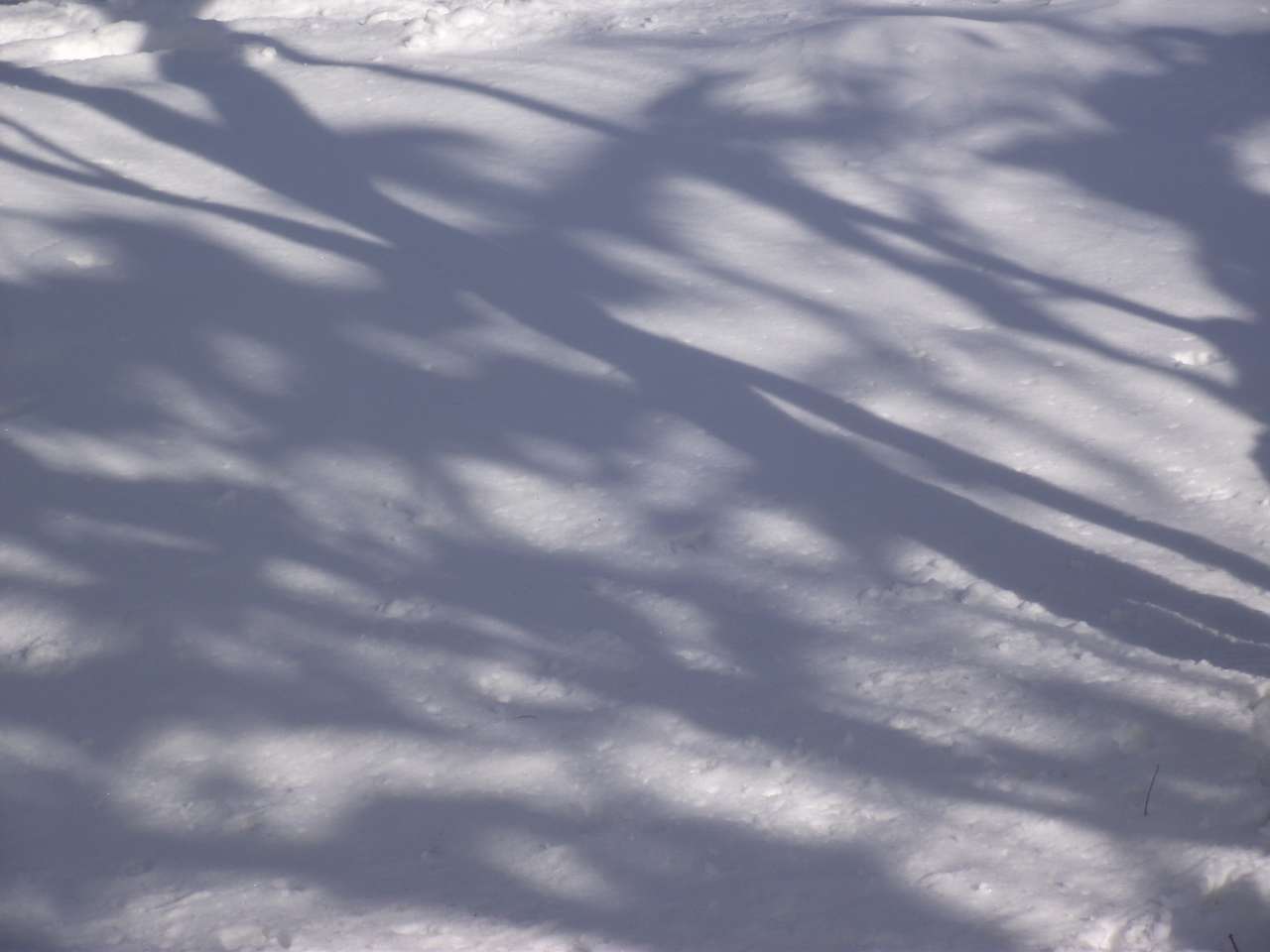 Sombras en la nieve rompecabezas en línea