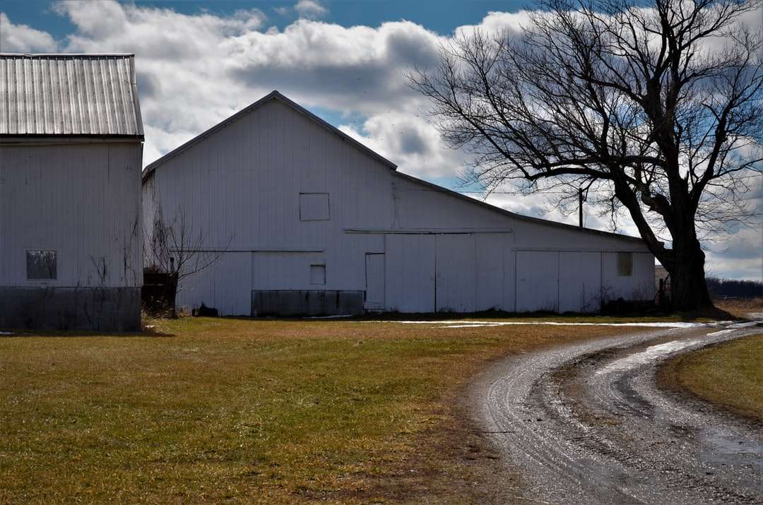 bílá dřevěná stodola poblíž holých stromů pod bílými mraky online puzzle