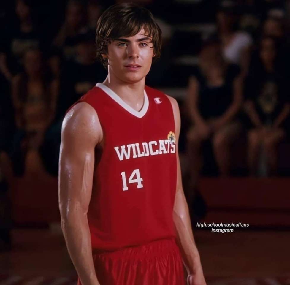 Troy Bolton the hero online puzzle