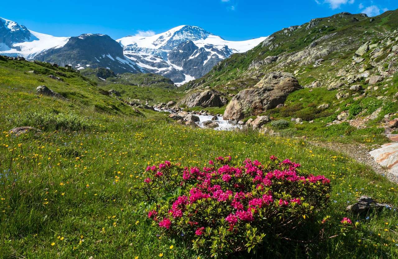Alpine landschap online puzzel