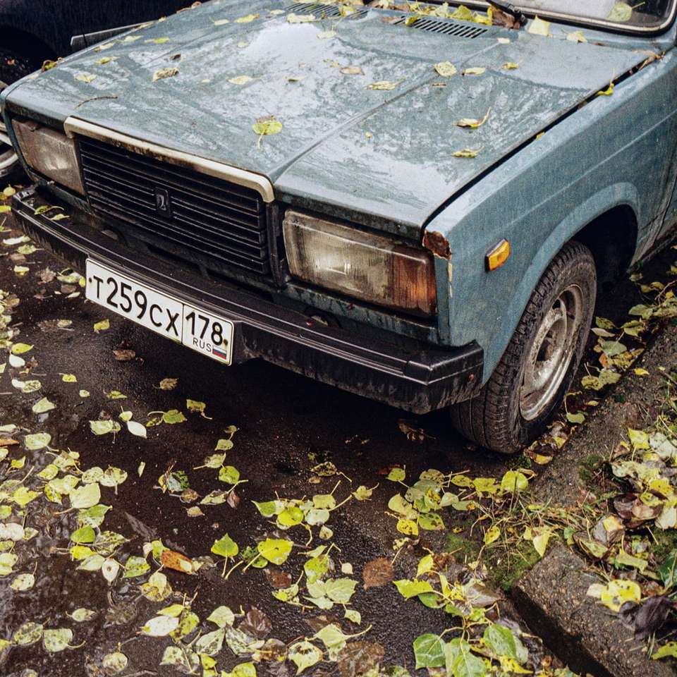 синій автомобіль з жовтим листям на землі онлайн пазл