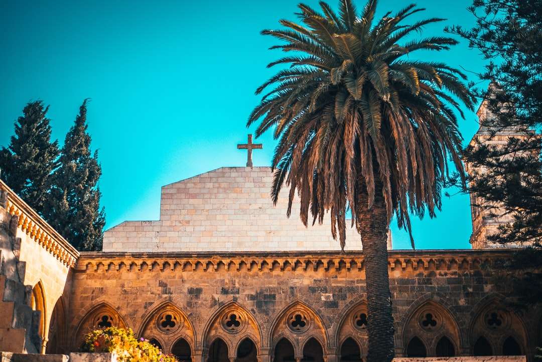 beige betonnen gebouw in de buurt van palmboom onder blauwe hemel online puzzel