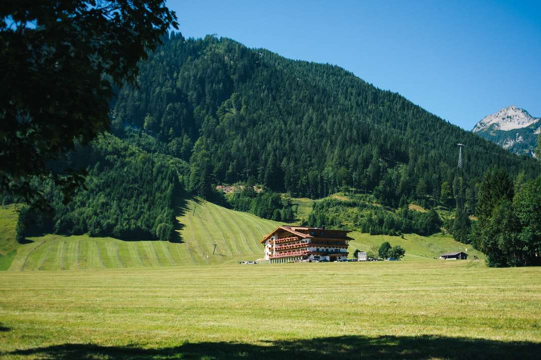 коричневий дерев'яний будинок на зеленій траві поля біля зеленої гори пазл онлайн