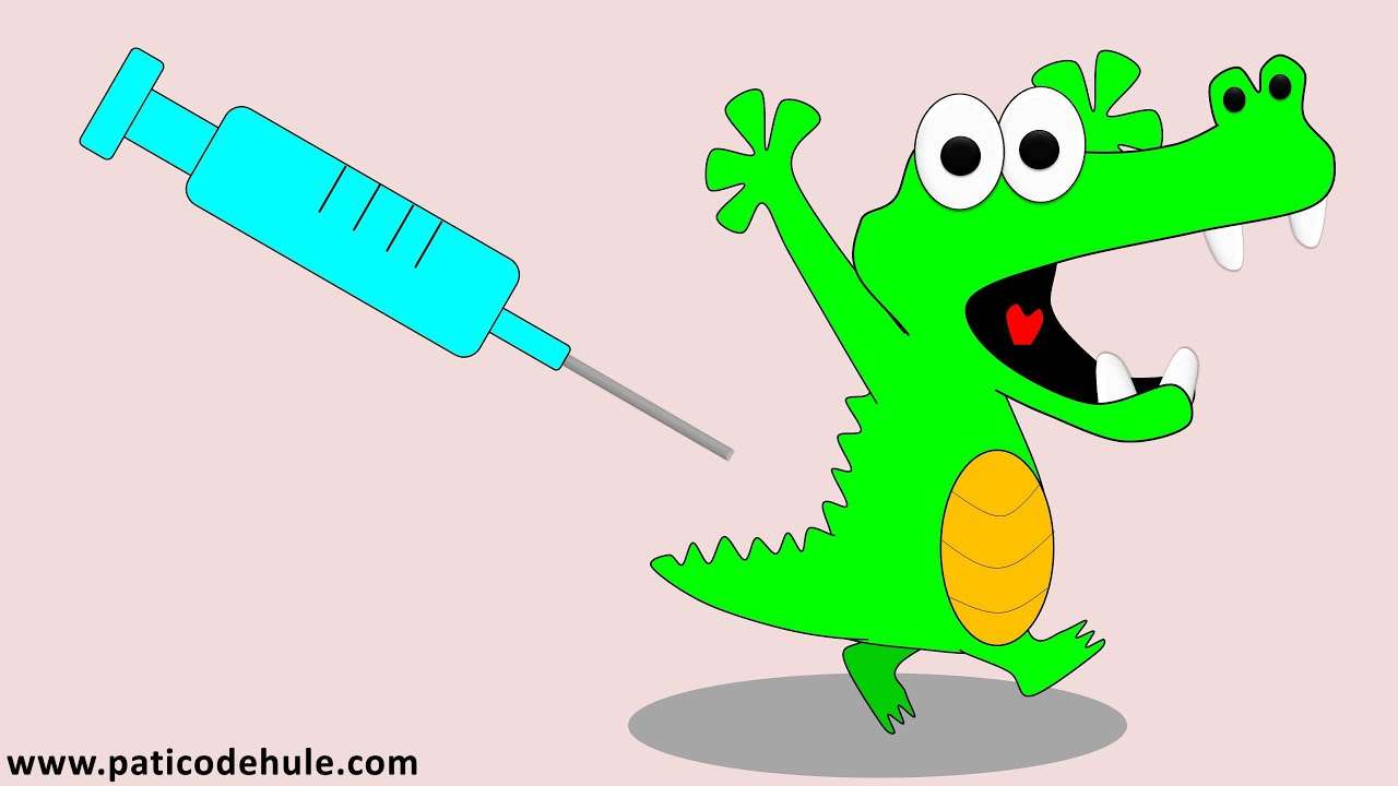 Krokodil vakcina online puzzle