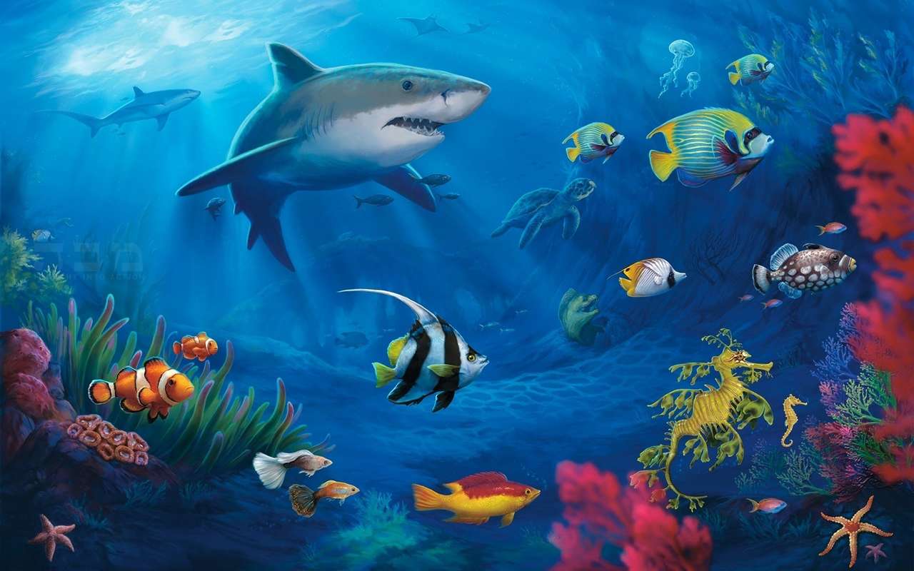 witte haai online puzzel