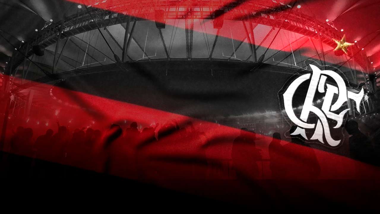 Flamengo online puzzel