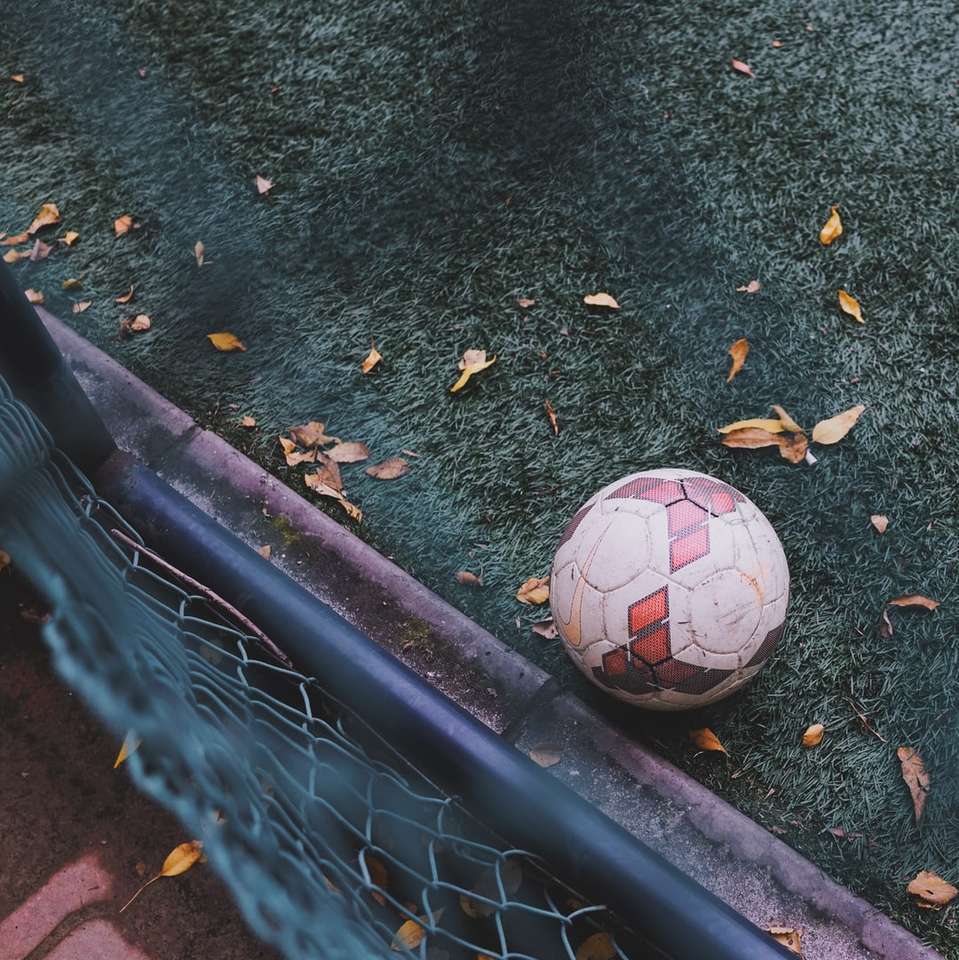 witte en rode voetbalbal op groen gras legpuzzel online