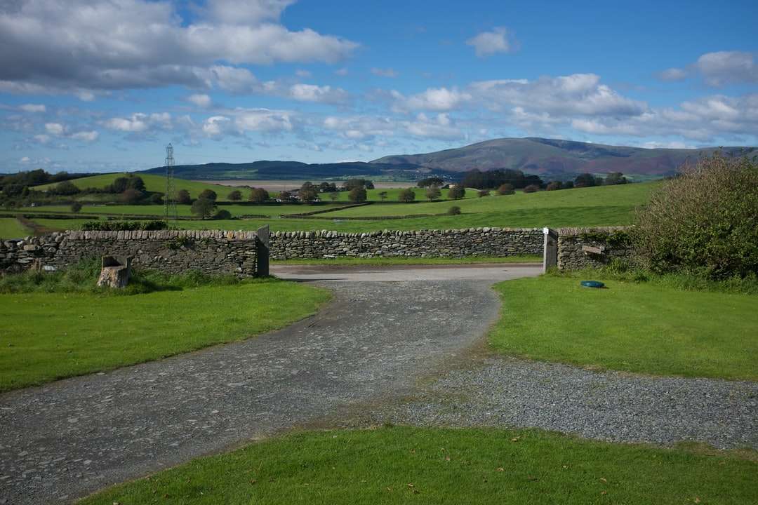 campo de grama verde sob céu azul durante o dia puzzle online