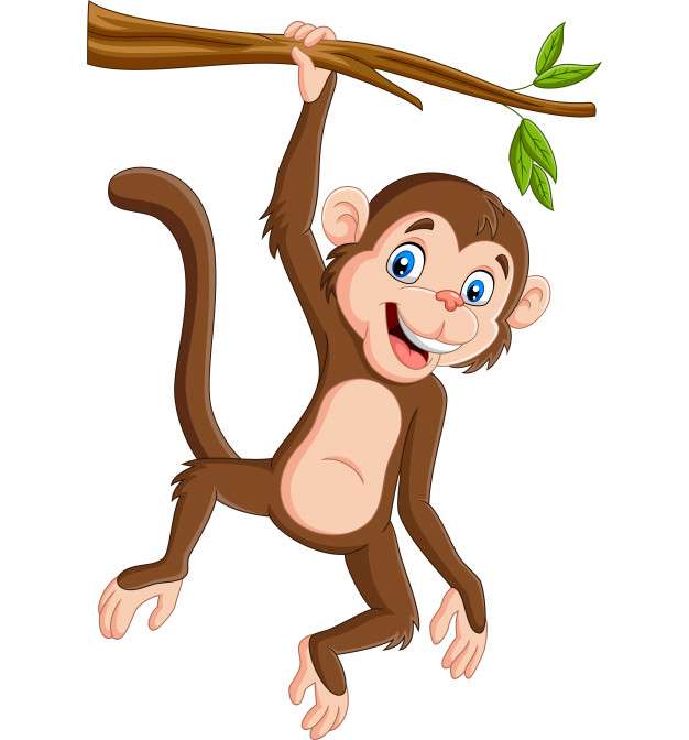 Puzzle al unei maimuțe de marmoset. puzzle online