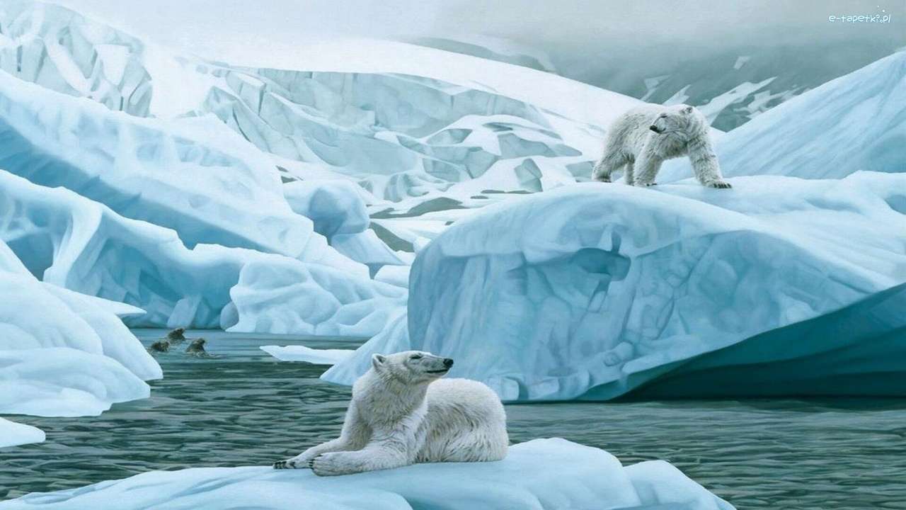 icebergs with bears online puzzle
