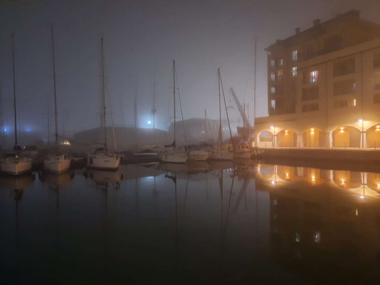 Caligo Genovában, a kikötőben kirakós online