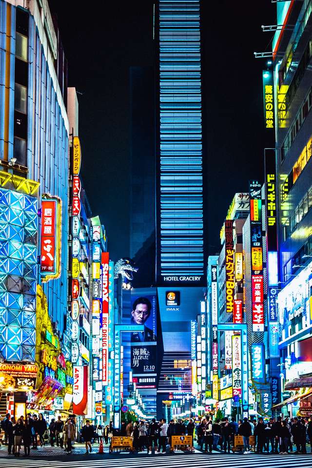 Tokyo, Japan pussel på nätet
