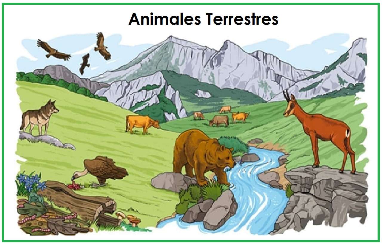 Animais terrestres quebra-cabeças online
