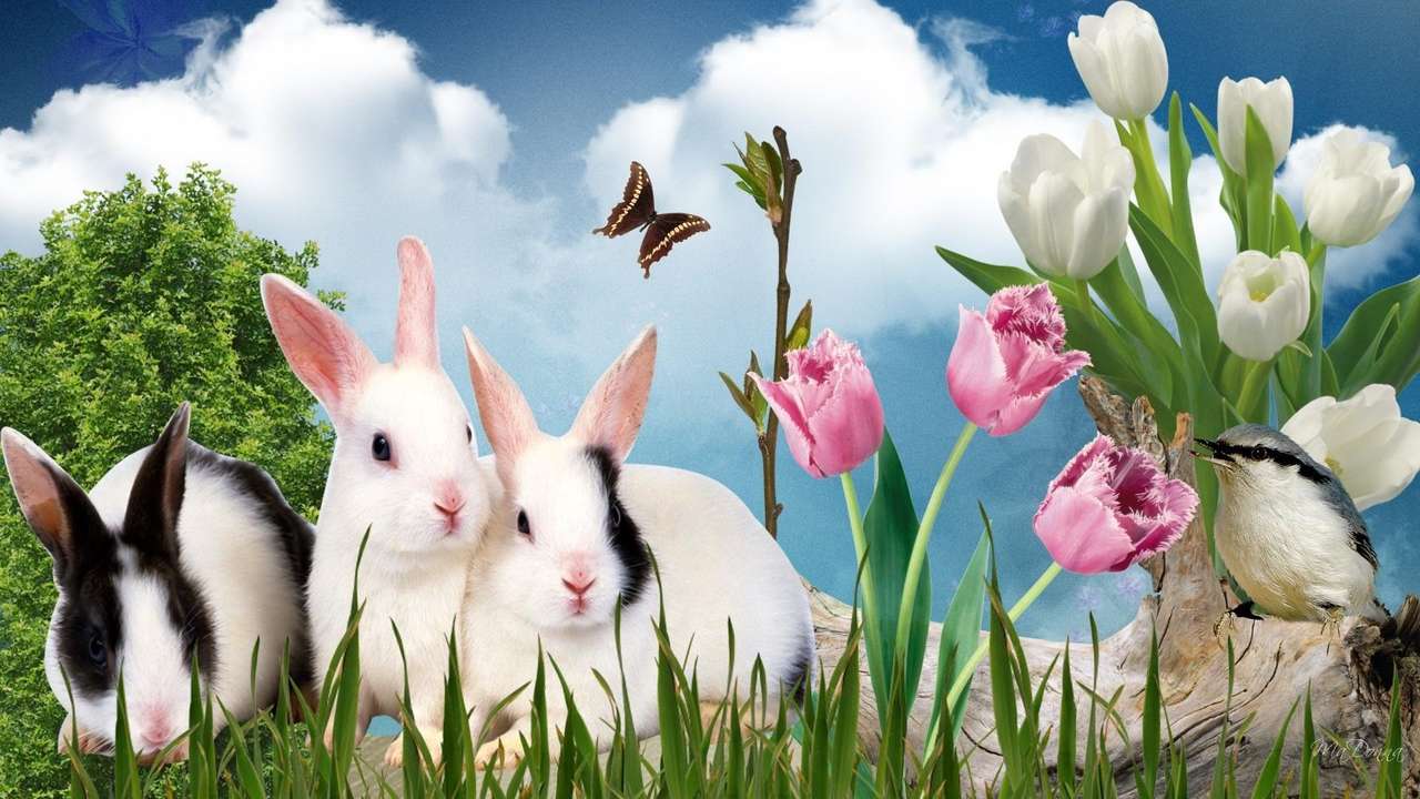 kaniner i tulpaner Pussel online