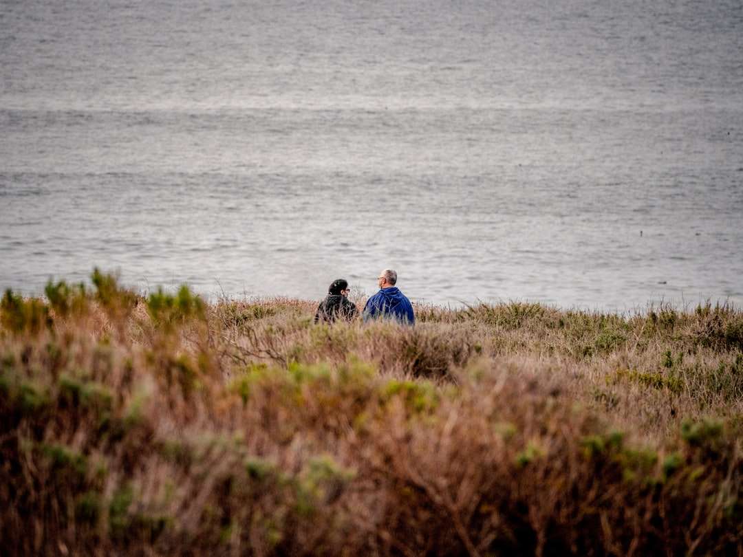 άνδρας και γυναίκα που κάθεται στο γρασίδι πεδίο κοντά στο νερό παζλ online