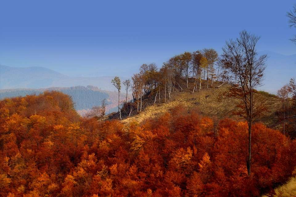 Montanhas Matra no outono na Hungria quebra-cabeças online