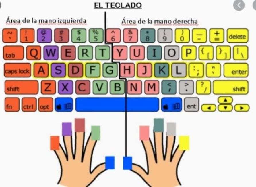 Posição do teclado e da mão puzzle online