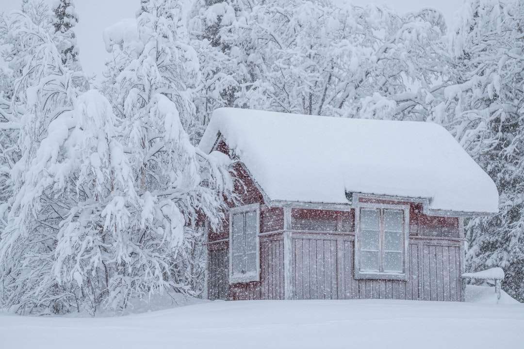 casa de madera marrón cubierta de nieve rompecabezas en línea