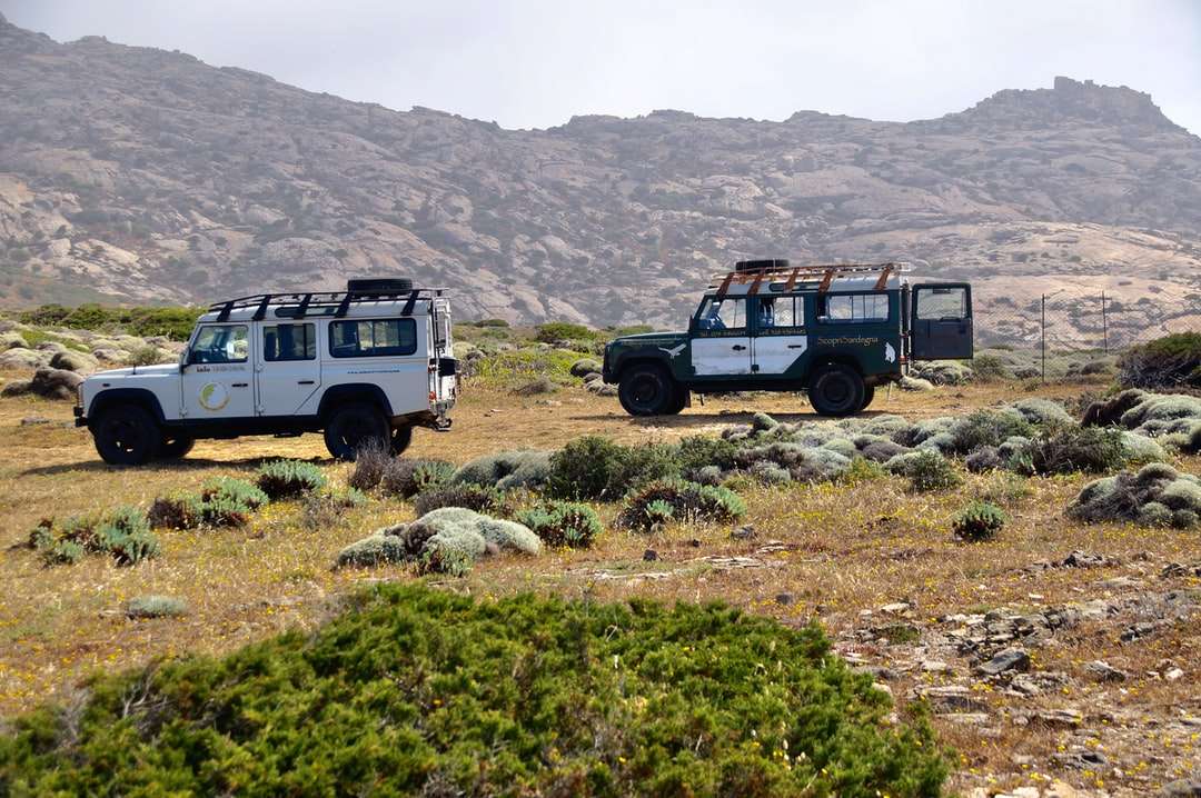 Jeep Wrangler blanco y negro en campo de hierba verde rompecabezas en línea
