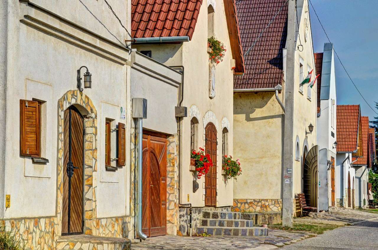 Tokaj vinregion i Ungern pussel på nätet