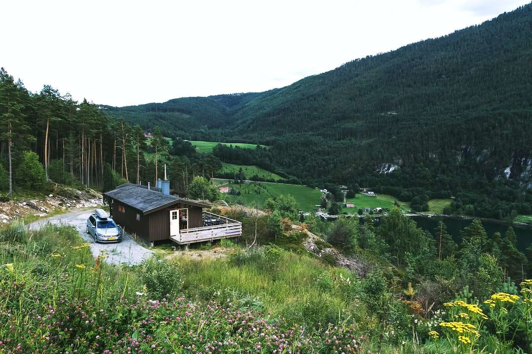 καφέ ξύλινο σπίτι στο πράσινο γρασίδι πεδίο κατά τη διάρκεια της ημέρας online παζλ