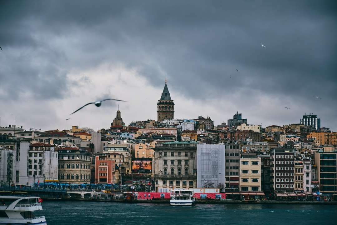 panorama města s létajícím ptákem výše během dne skládačky online