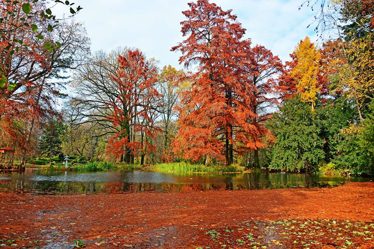 Szeged Park in de herfst in Hongarije legpuzzel online