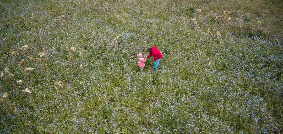 flicka i rosa jacka som går på fältet för grönt gräs pussel på nätet