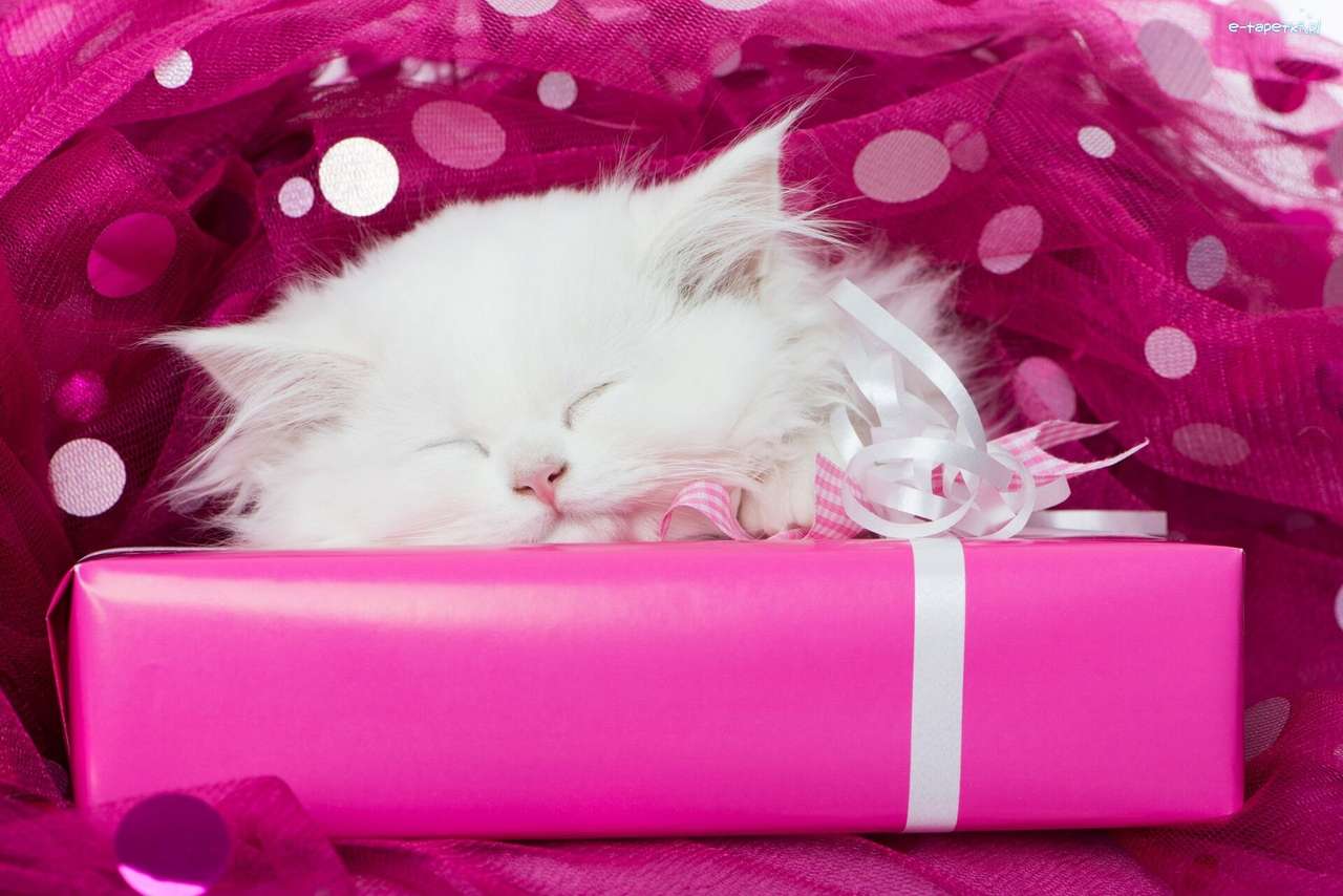 cica, ajándék kirakós online