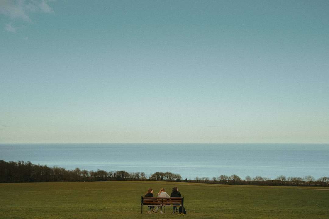 hnědá dřevěná lavička na zelené louce pod modrou oblohou skládačky online