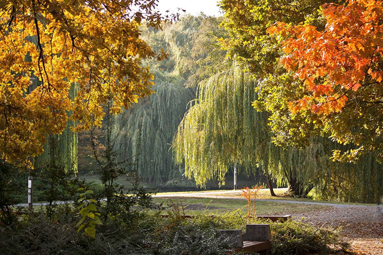 Πάρκο Debrecen στην Ουγγαρία online παζλ