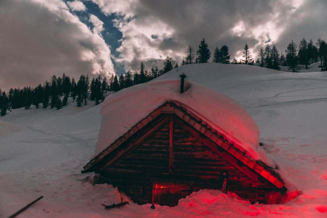 hnědý dřevěný dům pokrytý sněhem poblíž zelených stromů online puzzle
