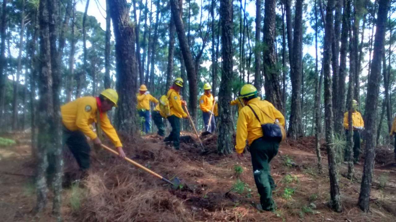 Membri della brigata forestale nella Sierra de Manantlán puzzle online