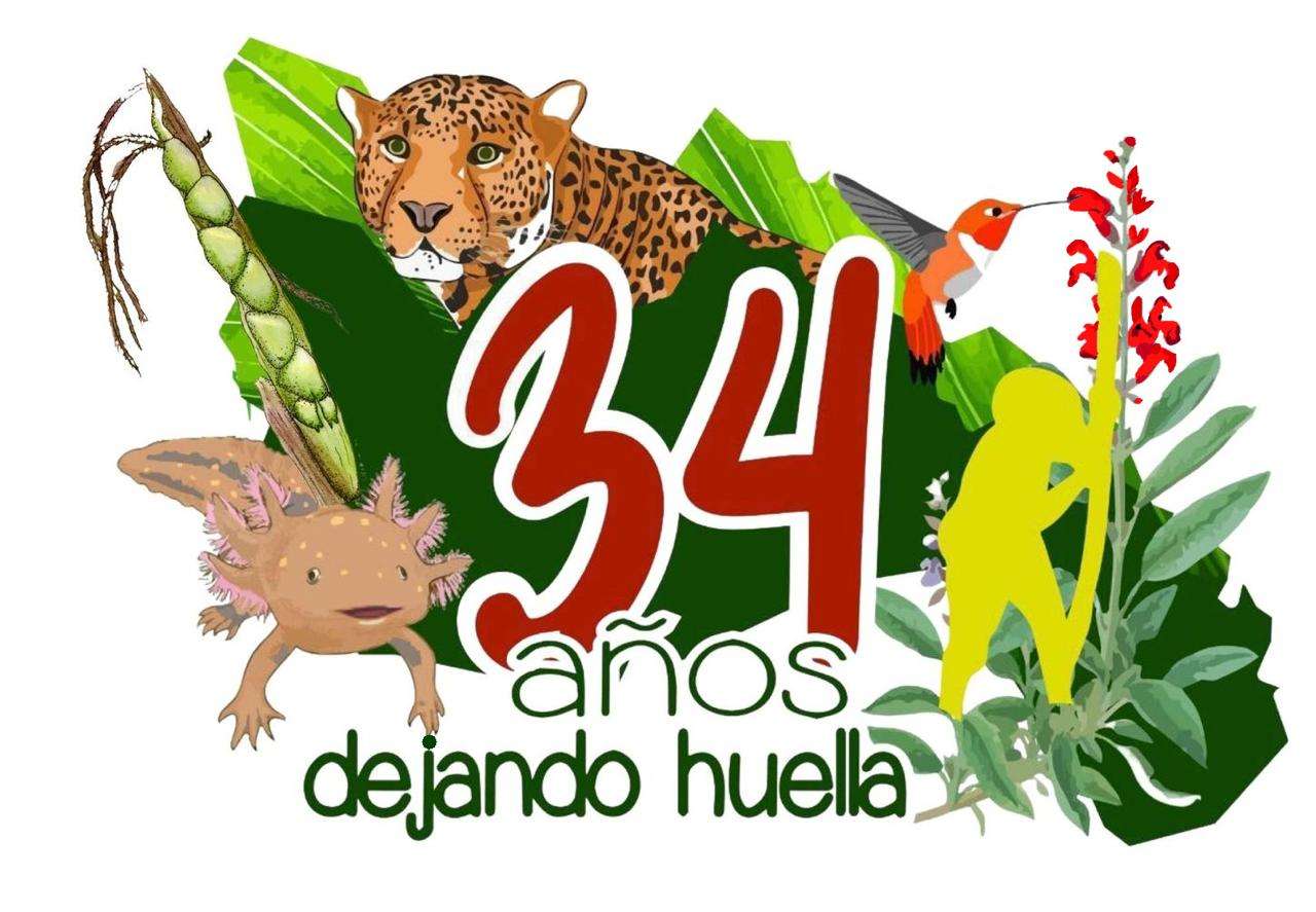 Aniversarea a 34 de ani a Sierra de Manantlán jigsaw puzzle online