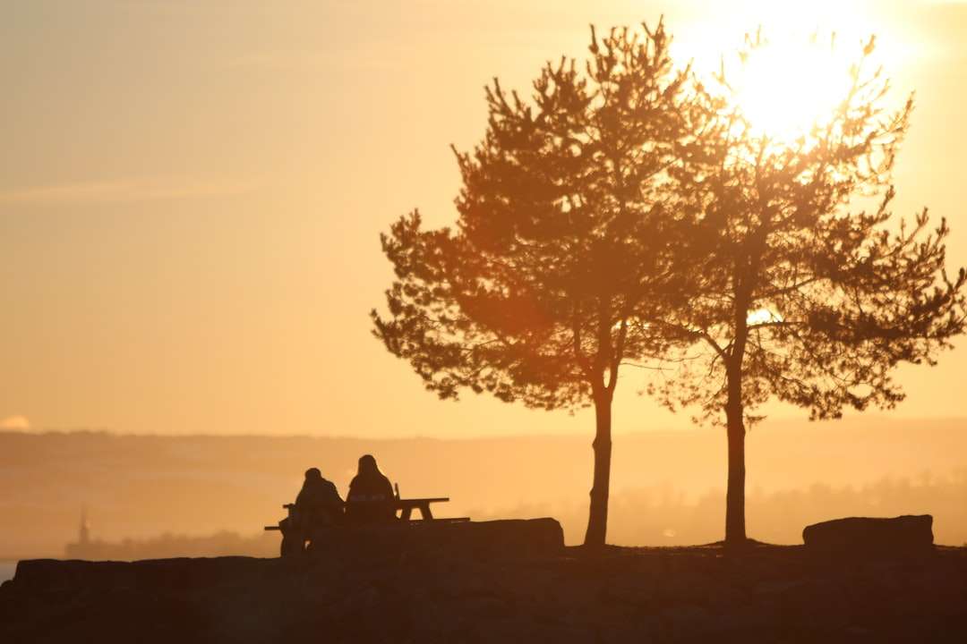 Silhouette von 2 Personen, die auf Bank nahe Baum sitzen Puzzlespiel online