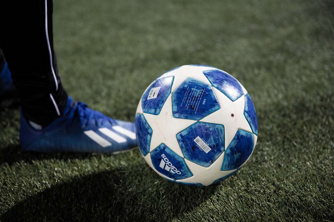 синя и бяла футболна топка на поле със зелена трева онлайн пъзел