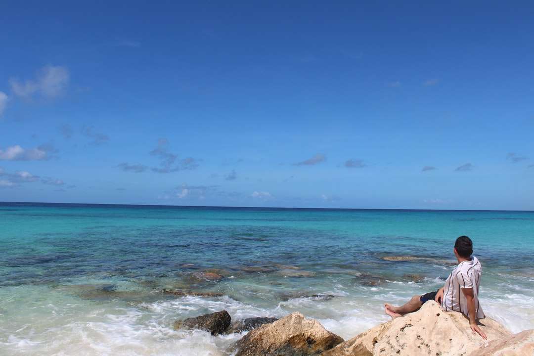 Persona acostada sobre una roca marrón cerca del mar bajo un cielo azul rompecabezas en línea