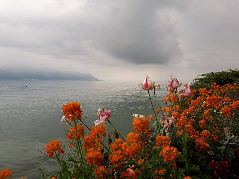 вид на Женевське озеро пазл онлайн