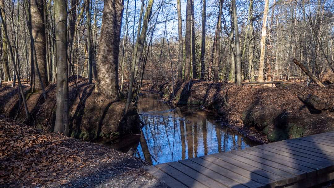 doca de madeira marrom no rio cercada por árvores puzzle online