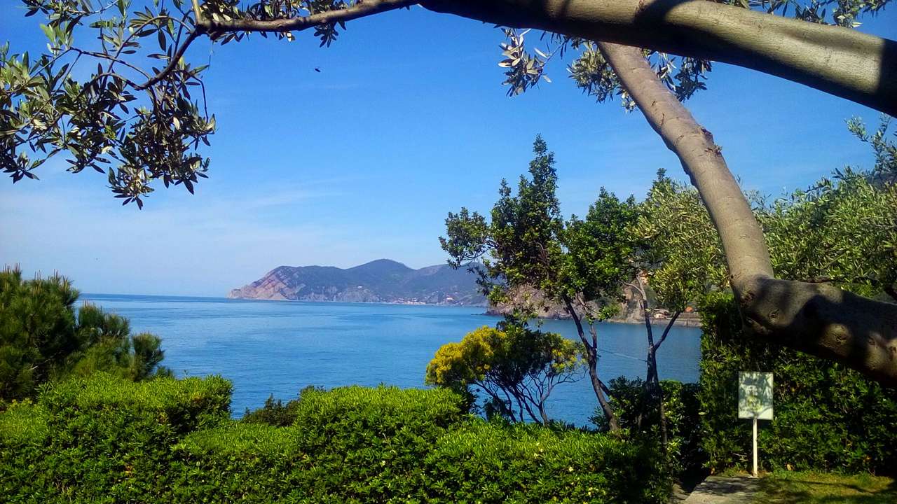 Θέα στο Cinque Terre παζλ online