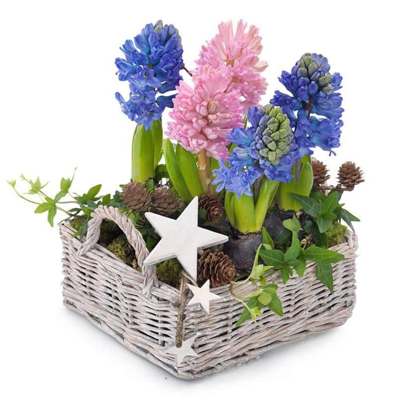 hyacinten legpuzzel online