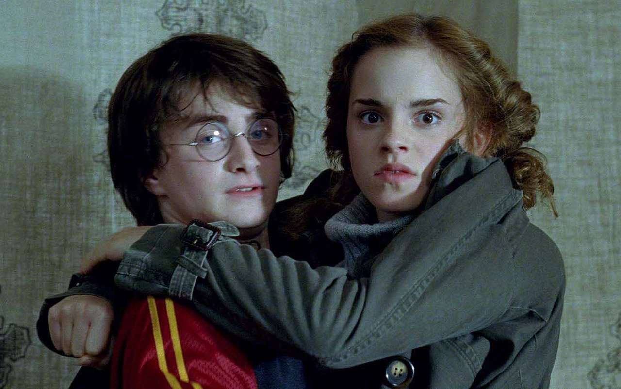 Harry + Hermione Pussel online