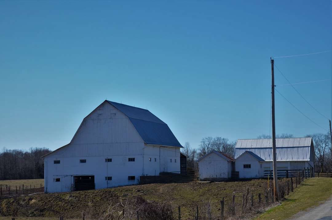 бяла и сива къща близо до полето със зелена трева под синьо небе онлайн пъзел