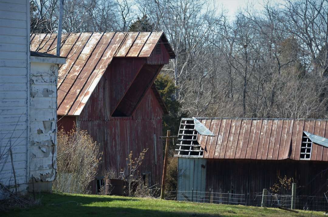 коричневый деревянный дом на поле зеленой травы пазл онлайн